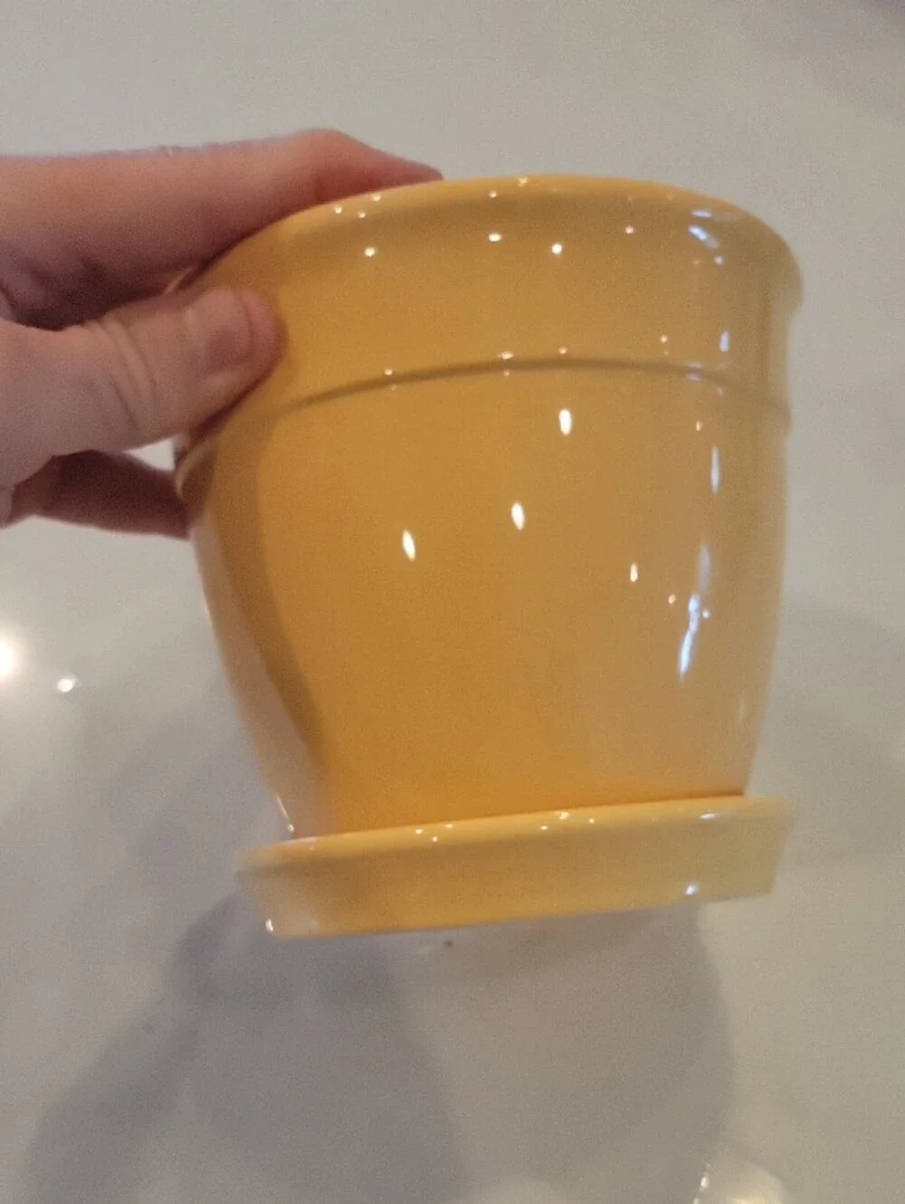 New England Buttercup Yellow Ceramic Planter with Saucer